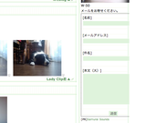 071202mailform