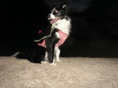 080127field