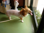 060527mame