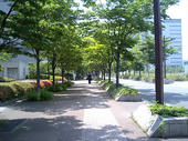 060606summer