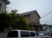 060610tama2