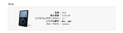 iPod128GB.jpg
