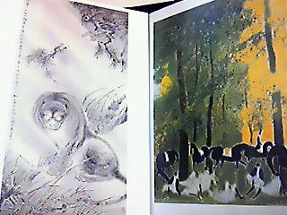 201010040032000.jpg