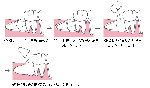 img02.gif
