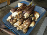 a47d740f.jpg