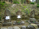 17e80107.jpg