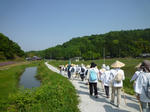 8447c04e.jpg