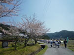 伊賀遍路 '12.04.13_2