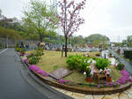 1cd092a6.jpg