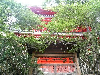 200710-11.jpg