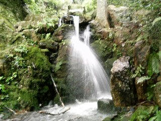 200710-12.jpg