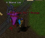 hollow_081113_.JPG