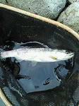 200707181720000.jpg