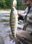 Image090.jpg1.jpg