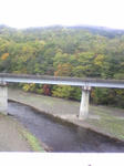 Image145.jpg
