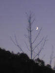 Image146.jpg