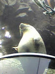 Image203.jpg