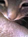 Image1961.jpg