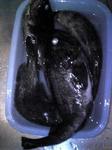 Image2021.jpg