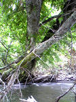 Image240.jpg