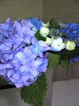 Image250.jpg