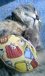 090314_124241.JPG
