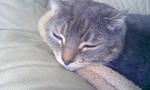 090409_131726.JPG