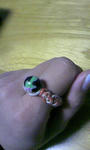 090406_181154.JPG