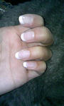 090426_190543.JPG