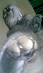 090411_222358.JPG