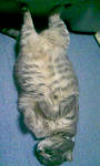 090501_213839.JPG