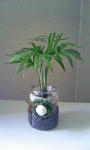 090420_115112.JPG