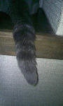 090625_202043.JPG