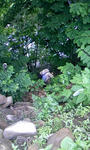 090701_133921.JPG