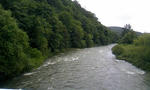 090729_085629.JPG