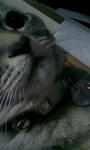 090913_205646.JPG