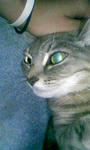 090913_203557.JPG