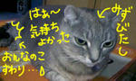 090924_1949071.jpg
