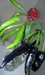 091004_191936.JPG