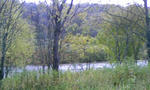 091014_071330.JPG