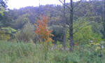 091014_071347.JPG