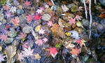 091021_070142.JPG