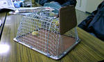 100124_091429.JPG