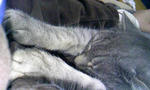 100208_012959.JPG
