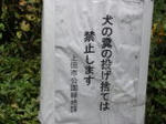 DSC01091.jpg