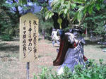 oyakatasama.jpg