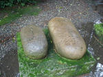 oyama5.jpg
