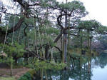 kenrokuen3.jpg