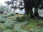 kenrokuen4.jpg