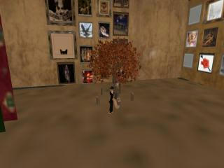 03_Midnight Oasis